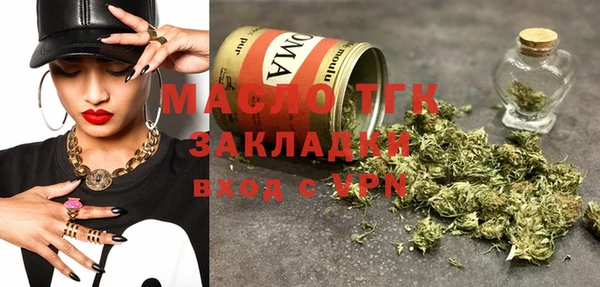 дмт Инсар