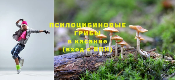 2c-b Каменка