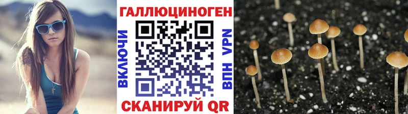 Купить закладки  Тобольск  Псилоцибиновые грибы Cubensis 